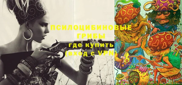 Альфа ПВП Протвино
